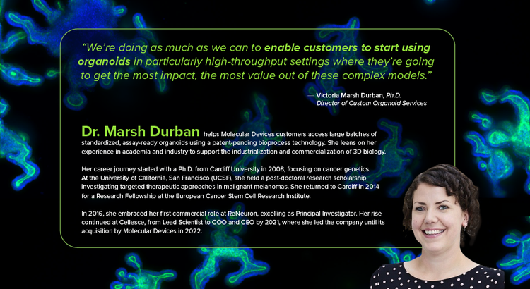 Dr. Victoria Marsh Durban, Ph.D., Director of Custom Organoid Services