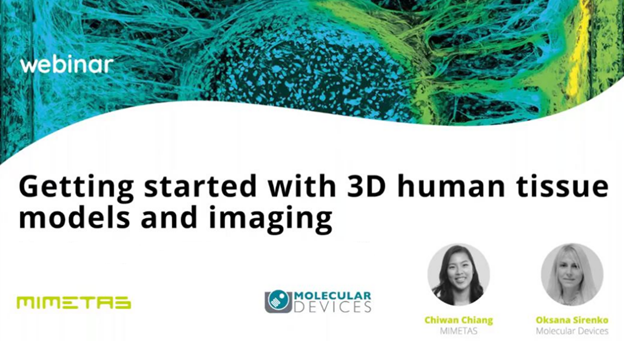 Modèles tissulaires humains 3D et imagerie