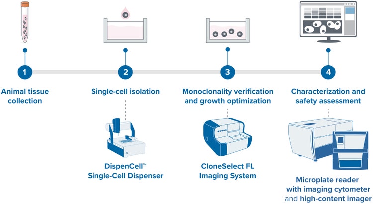 From single-cell isolation to safety assessment, Molecular Devices’ instruments play a pivotal role in the cultured meat workflow