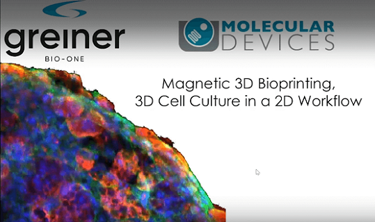 Tissus bioimprimés 3D 