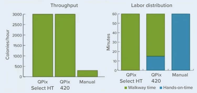 Graphique de distribution du débit et de la main-d’œuvre