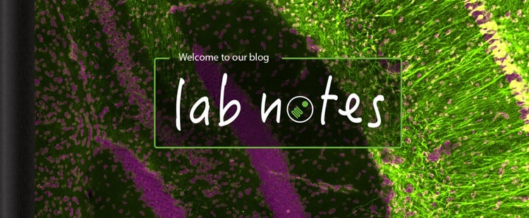 Notes de laboratoire