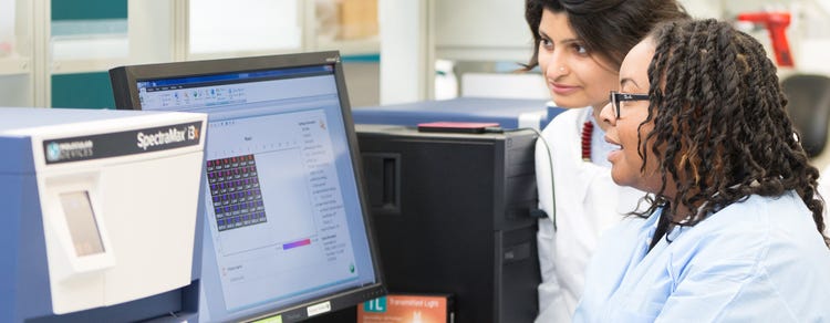 Chercheurs travaillant dans des laboratoires BPF et BPL
