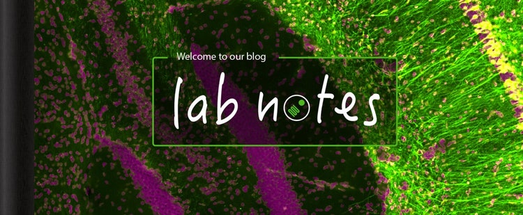 Notes de laboratoire