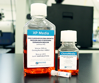 XP Media et CloneMedia