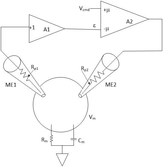 Schéma du circuit pour la méthode voltage-clamp à deux électrodes (TEVC)