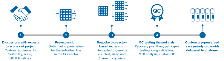 Diagramme de l’expérience d’expansion d’organoïdes