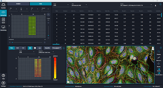 Logiciel d’analyse d’images IN Carta