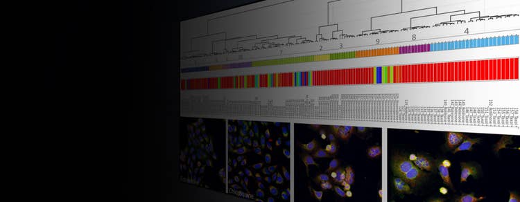 StratoMineR - Analyse avancée basée sur le Cloud