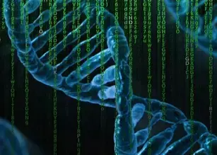 Détection, quantification et analyse des acides nucléiques (ADN/ARN)