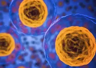 Santé cellulaire : viabilité, prolifération, cytotoxicité et fonction cellulaires