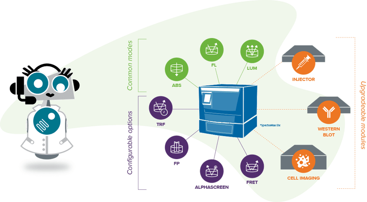 Détection d'absorbance