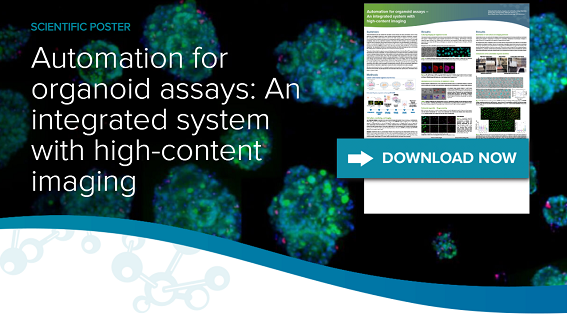 Automatisation des tests d’organoïdes – Un système intégré avec imagerie haut contenu
