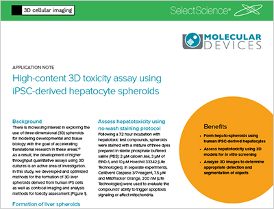 3D toxicity assay using iPSC-derived hepatocyte spheroids