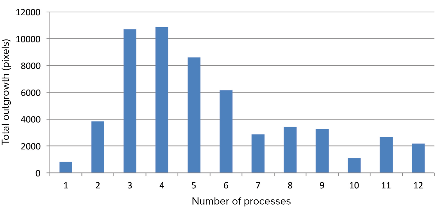 Relationship between total neurite outgrowth and number of processes