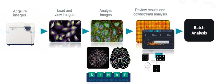 Logiciel d’analyse d’images IN Carta pour l’analyse haut débit basée sur l’apprentissage machine
