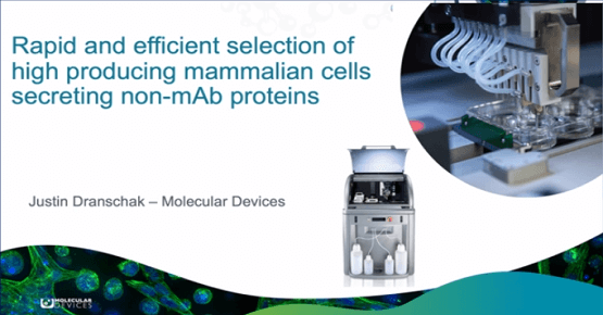 mammalian cells secreting non-mAb proteins workflow