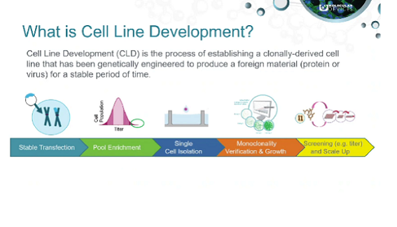 The many and varied workflows of cell line development