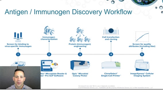 Immunology and Vaccine Development Workflow