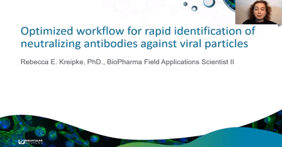 Rapid identification of Neutralizing Antibodies